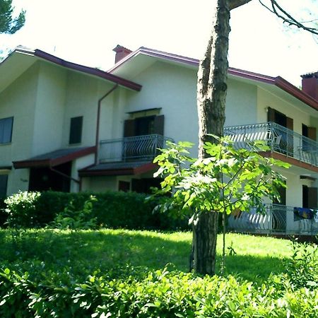Villa Flamicia 1P Λινιάνο Σαμπιαντόρο Εξωτερικό φωτογραφία
